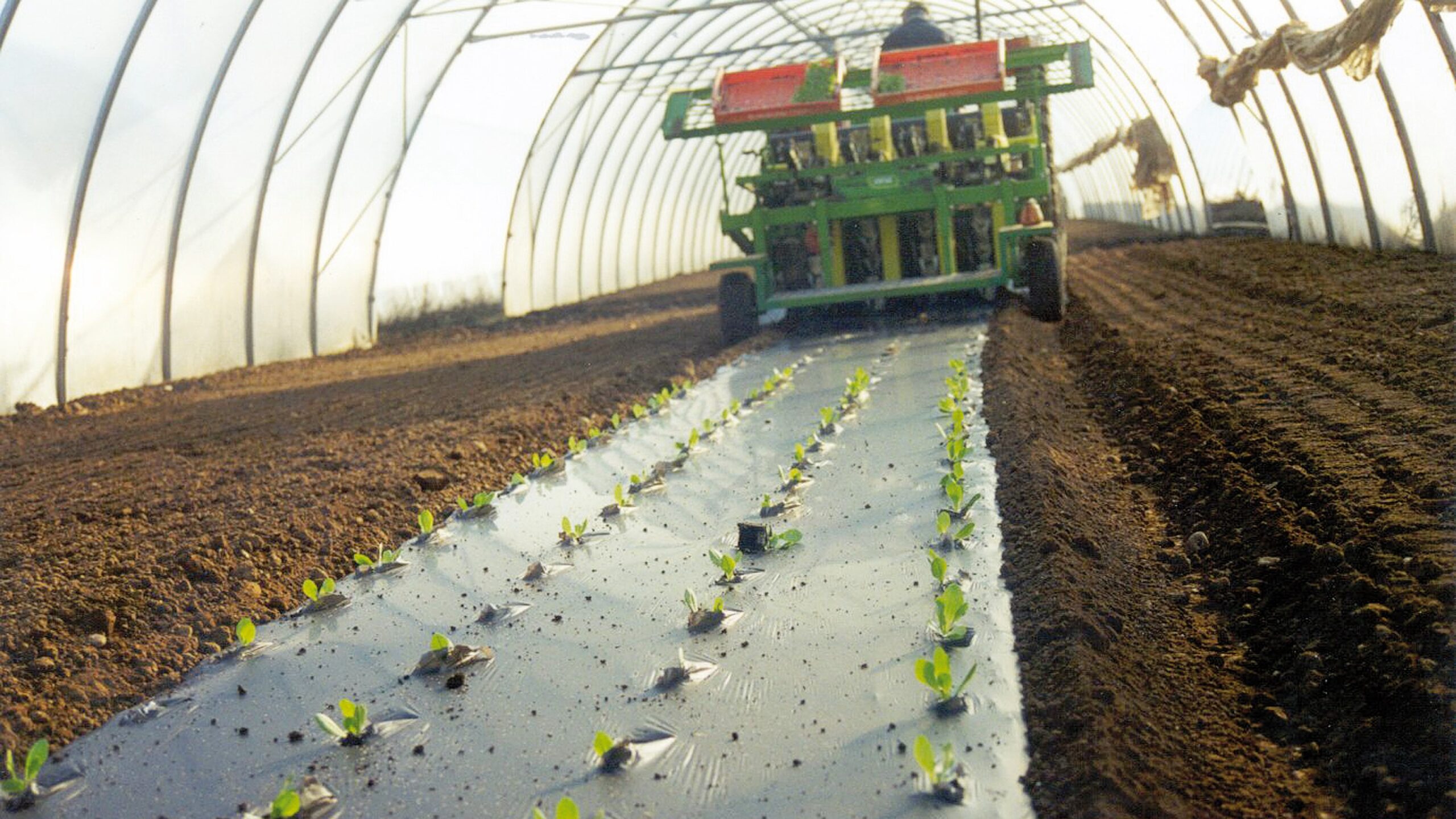 novamont acolchado film bio